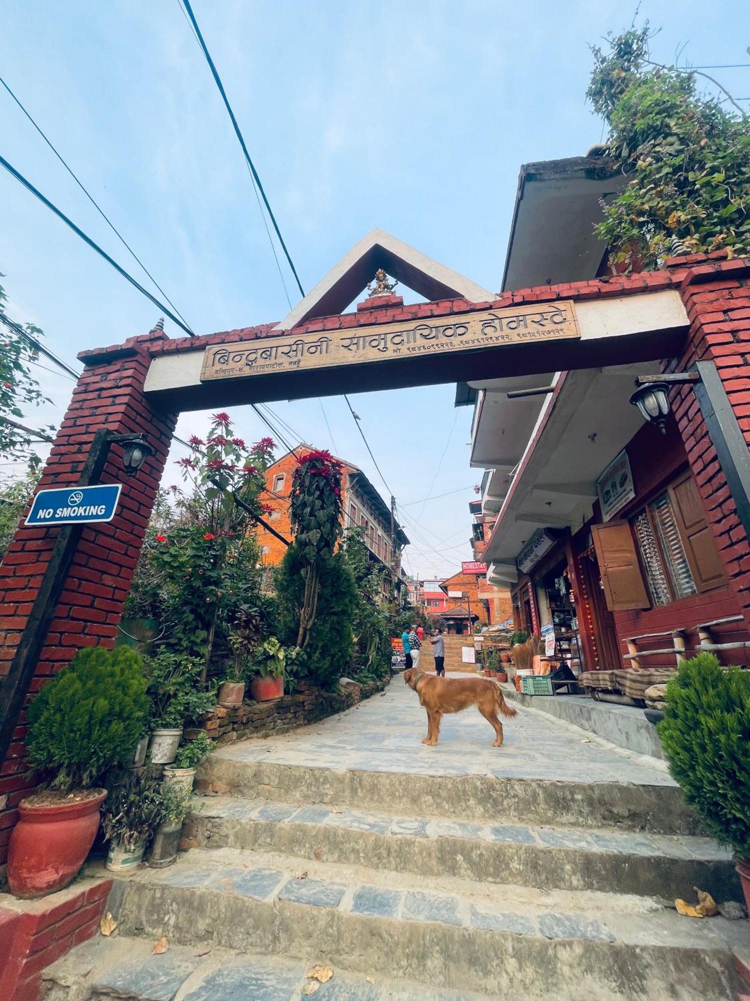 Pasne Aajako Hotel Bandipur Exterior foto